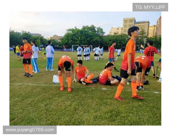 谢菲尔德星期三俱乐部的辉煌历史与未来展望：从传统到现代的足球之路