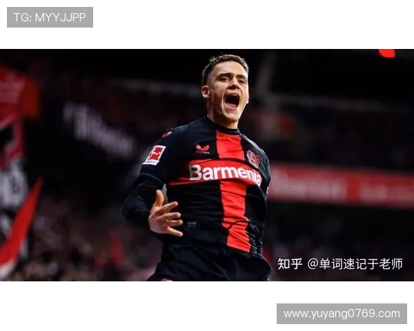 霍芬海姆1899足球俱乐部历史、成就与未来发展趋势分析